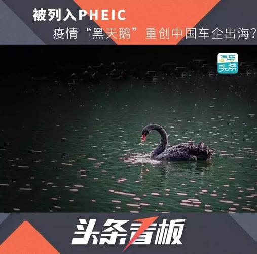 2018年肺炎疫情(2019年肺炎疫情)-第3张图片 2018年肺炎疫情(2019年肺炎疫情)-第3张图片