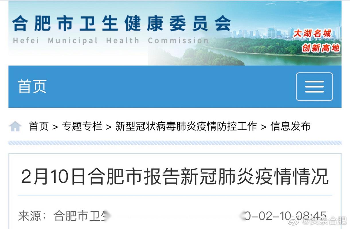 安徽首例疫情/安徽首例确诊病例-第2张图片 安徽首例疫情/安徽首例确诊病例-第2张图片