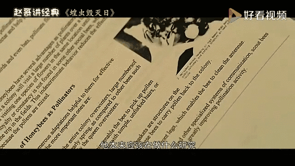 澳洲疫情蝗虫(澳洲疫情爆发)-第2张图片 澳洲疫情蝗虫(澳洲疫情爆发)-第2张图片