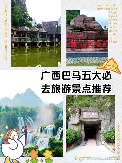 巴马肺炎疫情/巴马疫情防控