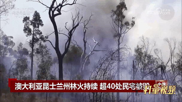 澳洲火灾疫情/澳洲火灾控制的怎样了-第3张图片