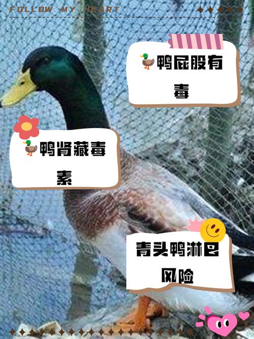 安庆有疫情,安庆疫情最新情况-第3张图片 安庆有疫情,安庆疫情最新情况-第3张图片