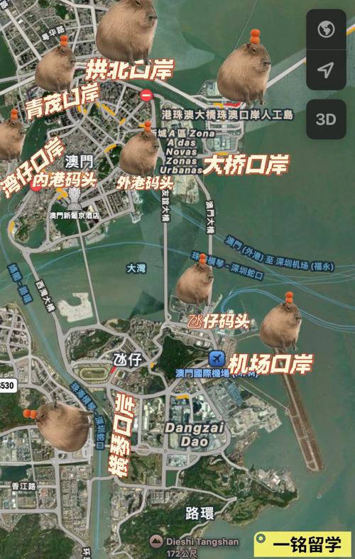 澳门新疫情/澳门疫情发钱-第7张图片 澳门新疫情/澳门疫情发钱-第7张图片