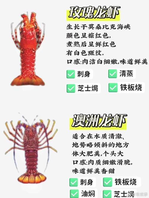 澳洲龙虾疫情/澳洲龙虾因为国内疫情降价