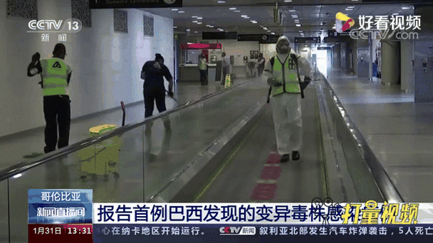 【巴西输入疫情,巴西疫情2021】-第7张图片 【巴西输入疫情,巴西疫情2021】-第7张图片