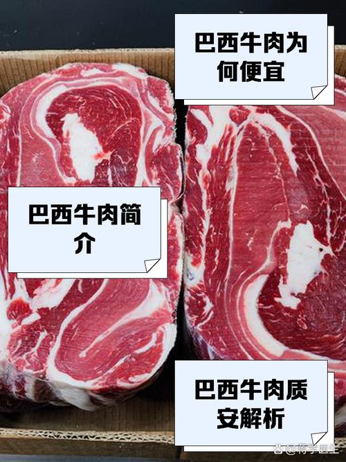 【巴西疫情关闭,巴西疫情持续恶化】-第4张图片 【巴西疫情关闭,巴西疫情持续恶化】-第4张图片