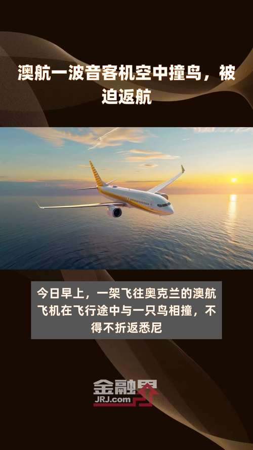 澳洲国家疫情(澳洲役情)