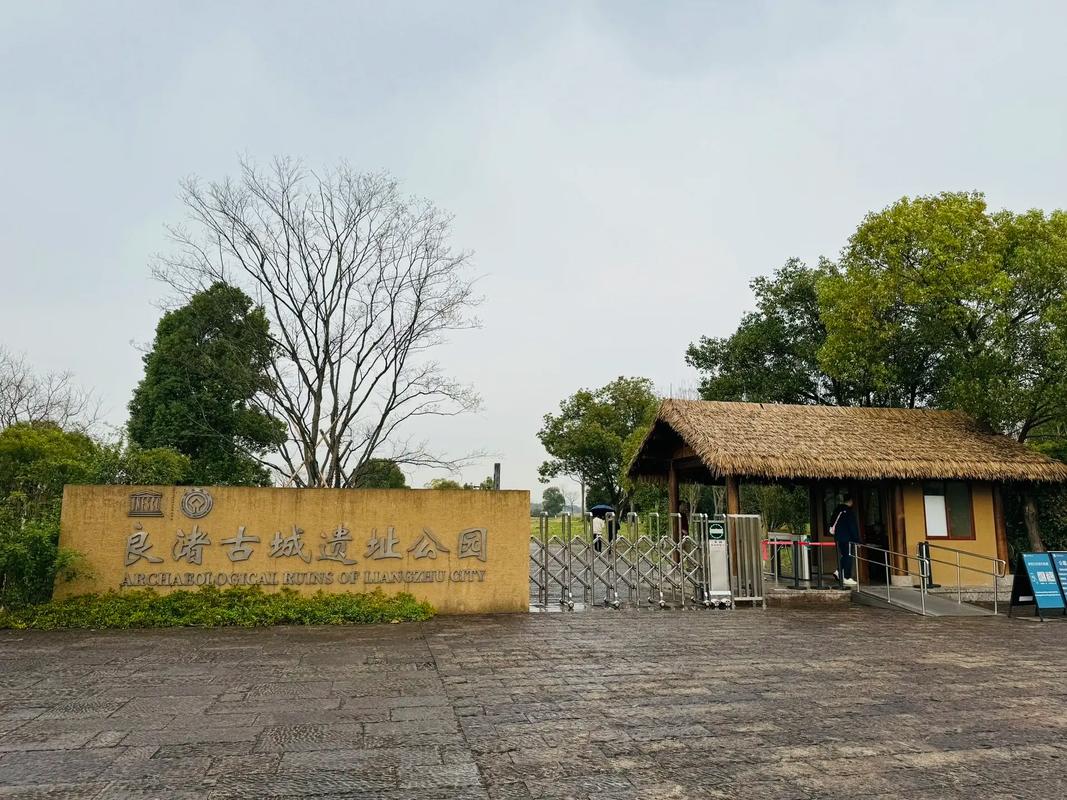 杭州良渚疫情(杭州良渚最新规划图)