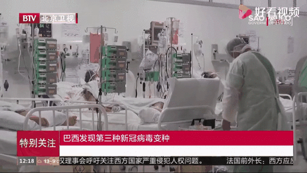 巴西疫情突变-巴西疫情突变的原因-第5张图片 巴西疫情突变-巴西疫情突变的原因-第5张图片