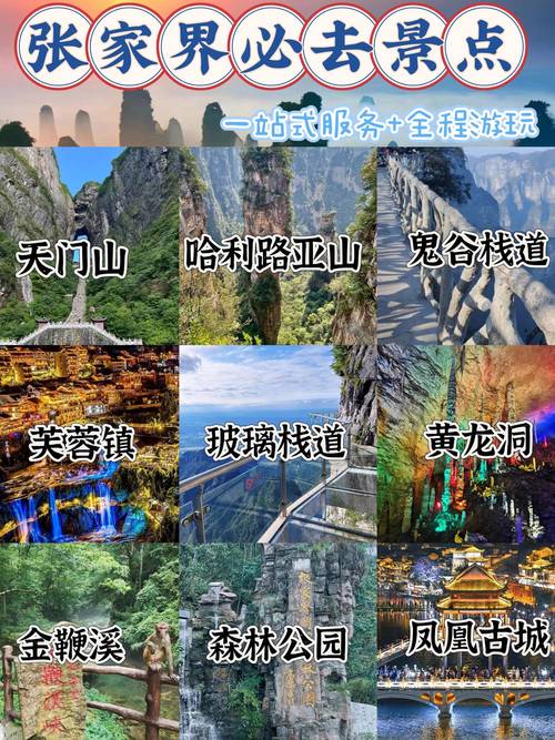 【张家口限行2017,张家口限行车辆】-第6张图片 【张家口限行2017,张家口限行车辆】-第6张图片