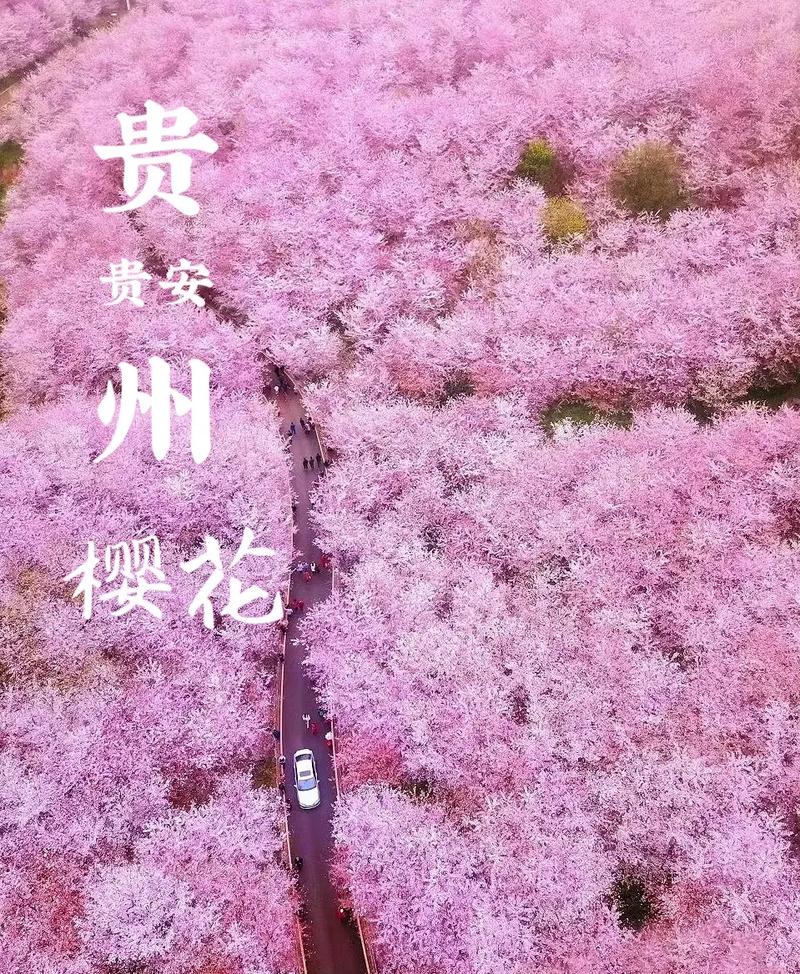 安顺景区疫情(最近安顺疫情怎样)-第5张图片 安顺景区疫情(最近安顺疫情怎样)-第5张图片