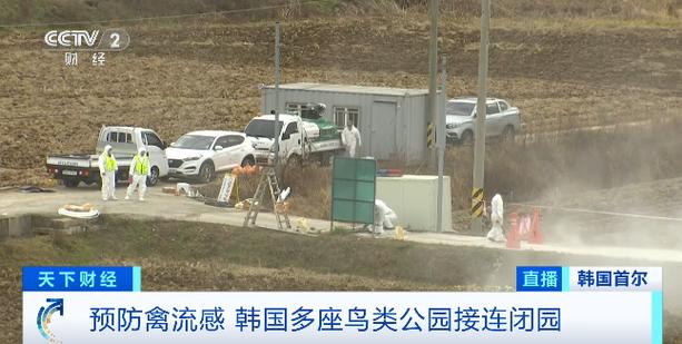 澳洲疫情韩国(澳洲疫情报告)-第2张图片 澳洲疫情韩国(澳洲疫情报告)-第2张图片
