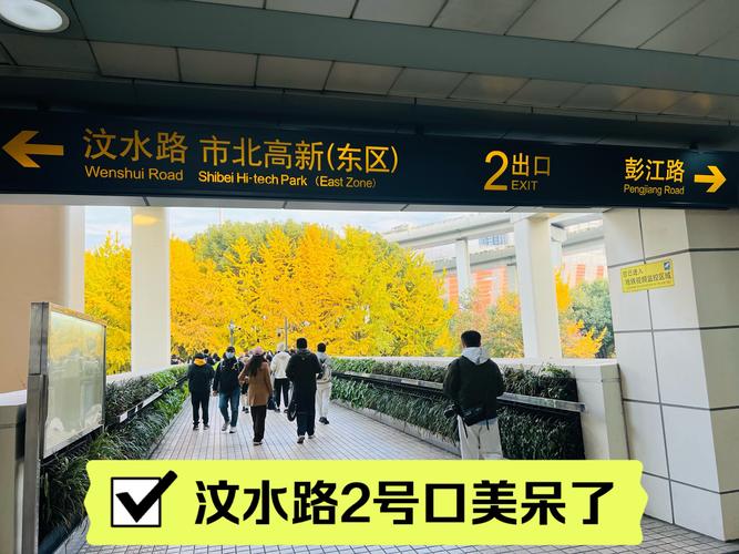【上海地铁限行,上海地铁限行规定解读】-第5张图片 【上海地铁限行,上海地铁限行规定解读】-第5张图片
