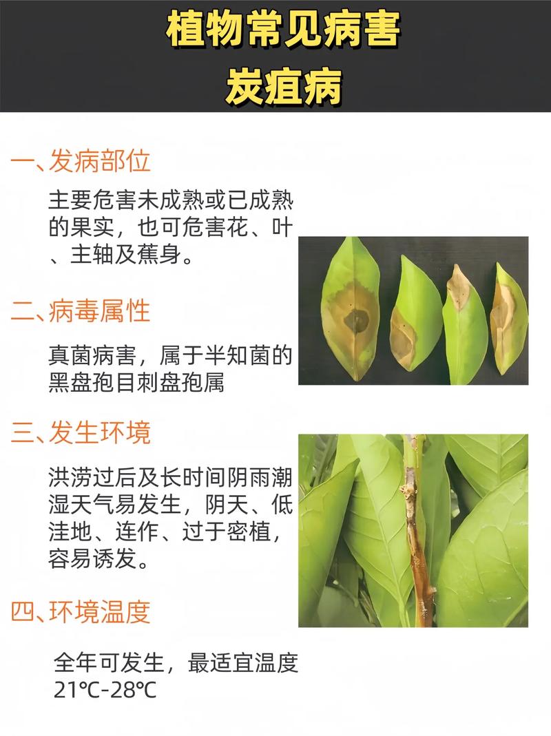 鞍山岫岩疫情-鞍山岫岩有冠状病毒吗-第7张图片