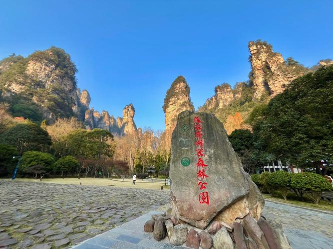 张家界市疫情/张家界市疫情最新消息今天-第6张图片 张家界市疫情/张家界市疫情最新消息今天-第6张图片