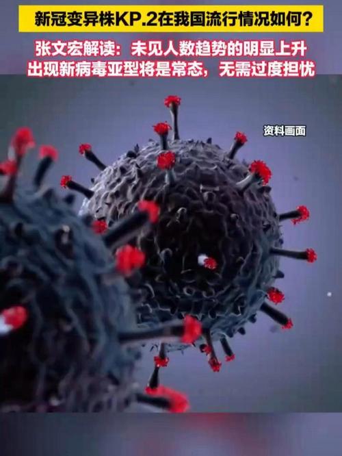 【巴伐利亚疫情,巴伐利亚现在是哪个国家】-第3张图片 【巴伐利亚疫情,巴伐利亚现在是哪个国家】-第3张图片