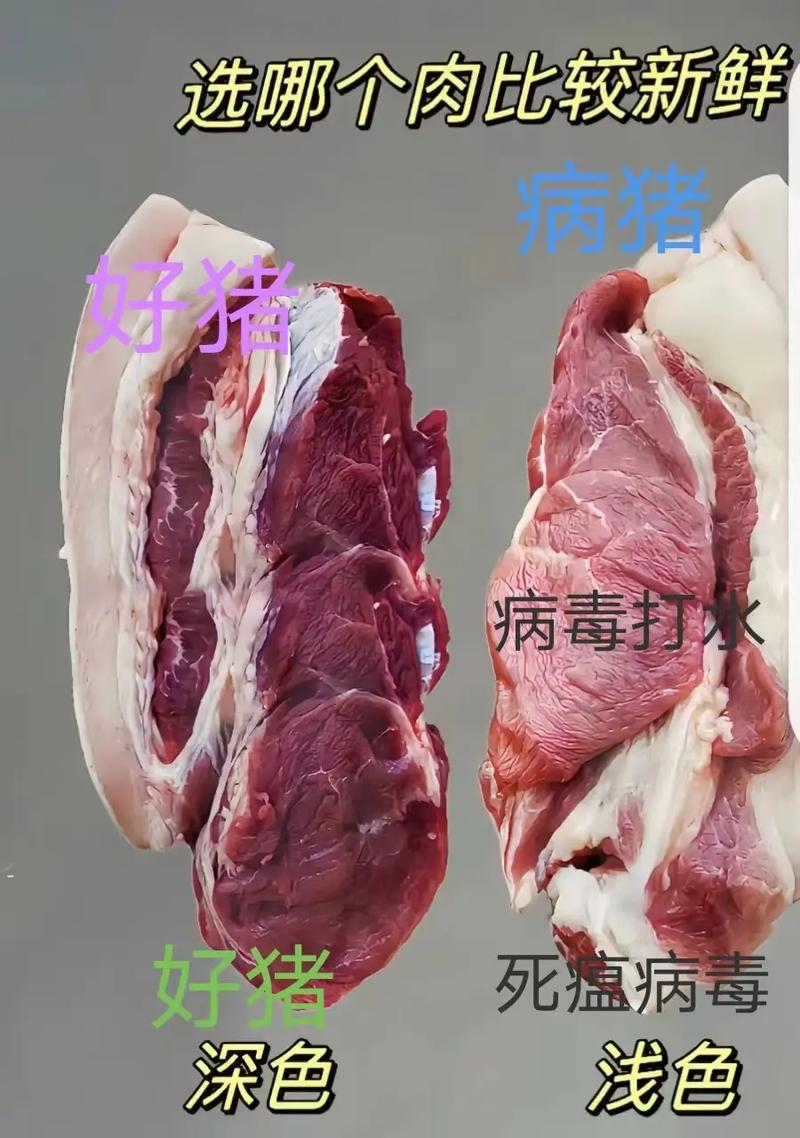 安徽猪肉疫情/安徽猪瘟疫情通报-第4张图片 安徽猪肉疫情/安徽猪瘟疫情通报-第4张图片