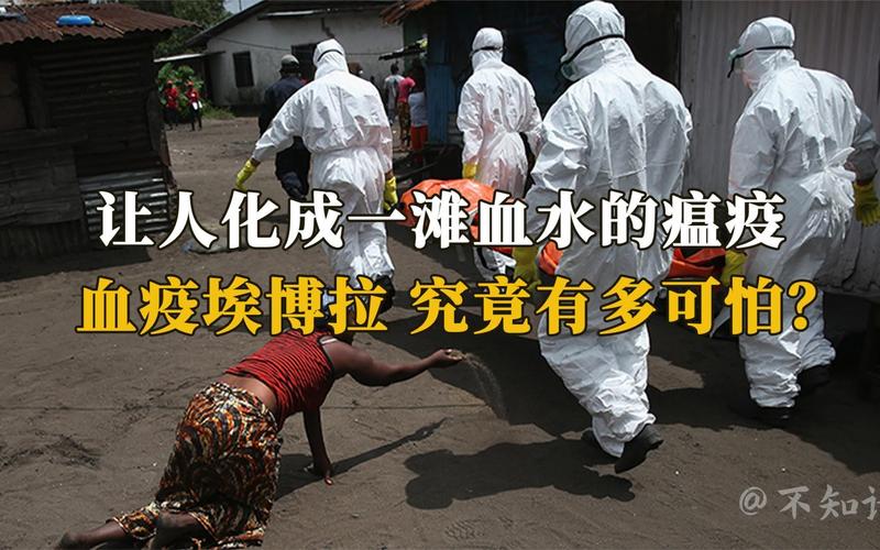 【刚果埃博拉疫情,刚果埃博拉疫情世界卫生组织处理】-第1张图片 【刚果埃博拉疫情,刚果埃博拉疫情世界卫生组织处理】-第1张图片