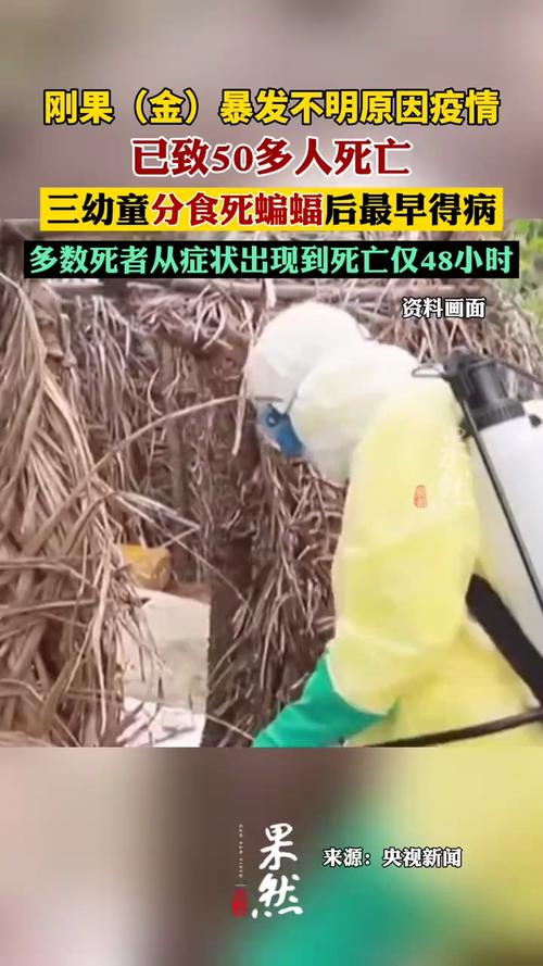 【刚果埃博拉疫情,刚果埃博拉疫情世界卫生组织处理】-第4张图片 【刚果埃博拉疫情,刚果埃博拉疫情世界卫生组织处理】-第4张图片