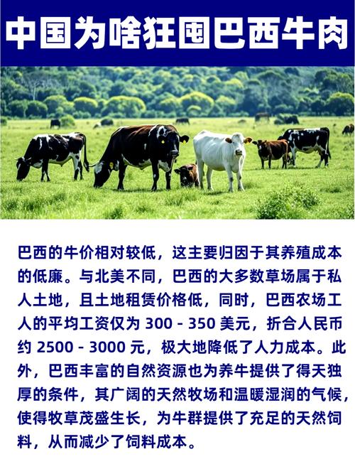 【巴西疫情牛肉,最新巴西疫情对牛肉出口影响】-第1张图片 【巴西疫情牛肉,最新巴西疫情对牛肉出口影响】-第1张图片