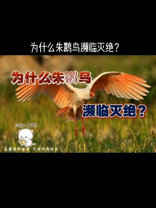 安康疫情分布,安康疫情分布图最新-第5张图片 安康疫情分布,安康疫情分布图最新-第5张图片