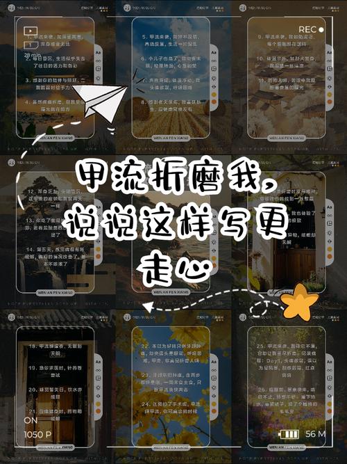 熬过了疫情却/熬过了疫情却没能熬过分离-第4张图片 熬过了疫情却/熬过了疫情却没能熬过分离-第4张图片
