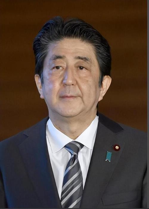 安倍拍摄疫情/安倍拍摄疫情图片-第3张图片 安倍拍摄疫情/安倍拍摄疫情图片-第3张图片
