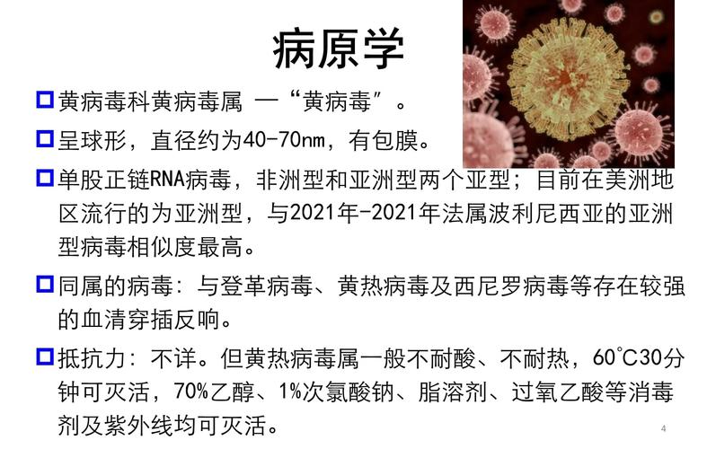 巴西各州疫情(巴西疫情最新排名)-第6张图片 巴西各州疫情(巴西疫情最新排名)-第6张图片
