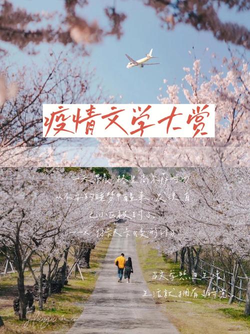 【疫情与文学,面对疫情,文学何为】-第6张图片 【疫情与文学,面对疫情,文学何为】-第6张图片