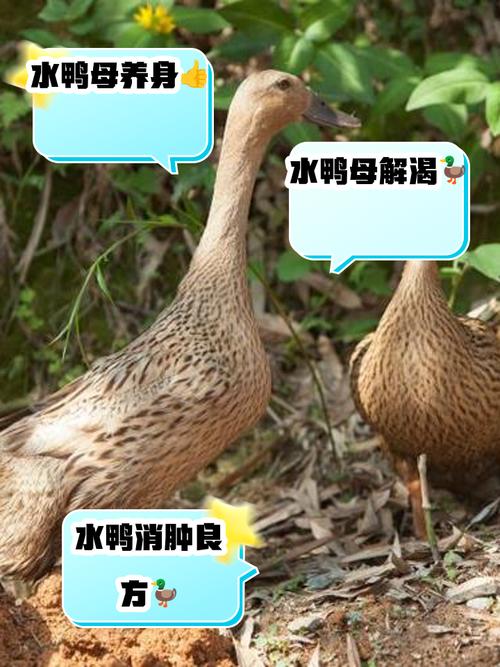 安庆疫情小区,安庆疫情怎么样-第5张图片 安庆疫情小区,安庆疫情怎么样-第5张图片
