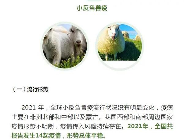 安徽疫情60-安徽疫情实时最新消息今天-第2张图片