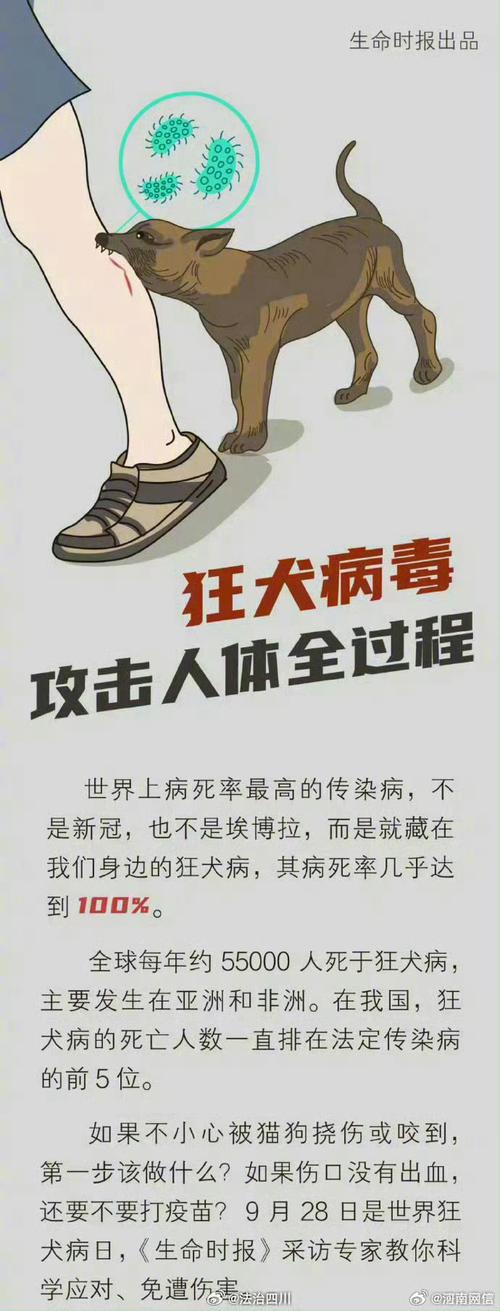 【安徽来安疫情,来安县新冠状肺炎情况】-第3张图片 【安徽来安疫情,来安县新冠状肺炎情况】-第3张图片