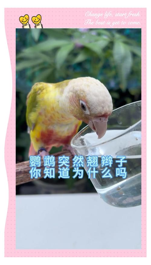 澳洲疫情图,澳洲疫情最新动态-第3张图片 澳洲疫情图,澳洲疫情最新动态-第3张图片