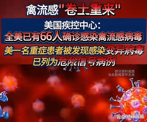 2009全球疫情(世界历年疫情)-第1张图片 2009全球疫情(世界历年疫情)-第1张图片