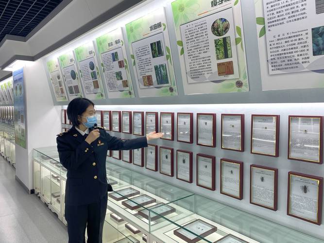 安定医院疫情-安定医院总机电话-第3张图片 安定医院疫情-安定医院总机电话-第3张图片