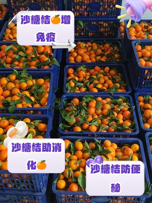 巴西甘蔗疫情/巴西甘蔗种植情况-第1张图片 巴西甘蔗疫情/巴西甘蔗种植情况-第1张图片