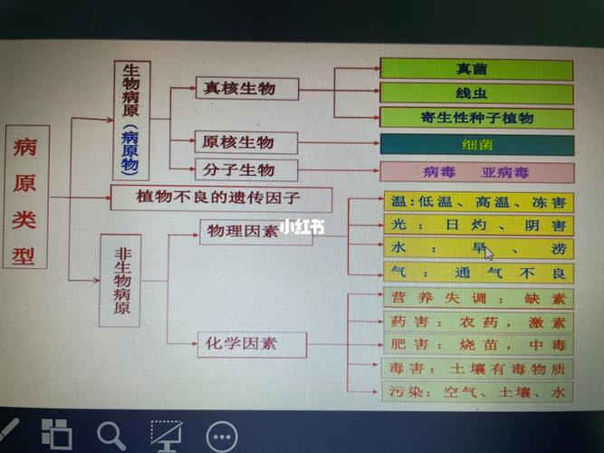 巴西甘蔗疫情/巴西甘蔗种植情况-第3张图片 巴西甘蔗疫情/巴西甘蔗种植情况-第3张图片