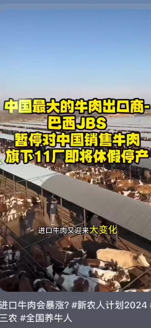 巴西疫情牛肉安全/巴西进口牛肉 新冠-第4张图片 巴西疫情牛肉安全/巴西进口牛肉 新冠-第4张图片