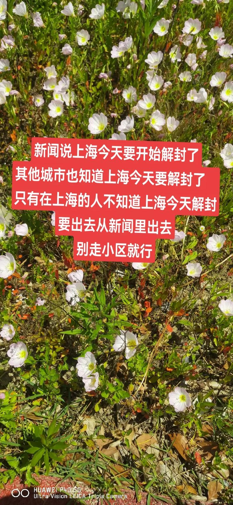 按耐不住疫情,疫情停不下来-第3张图片 按耐不住疫情,疫情停不下来-第3张图片