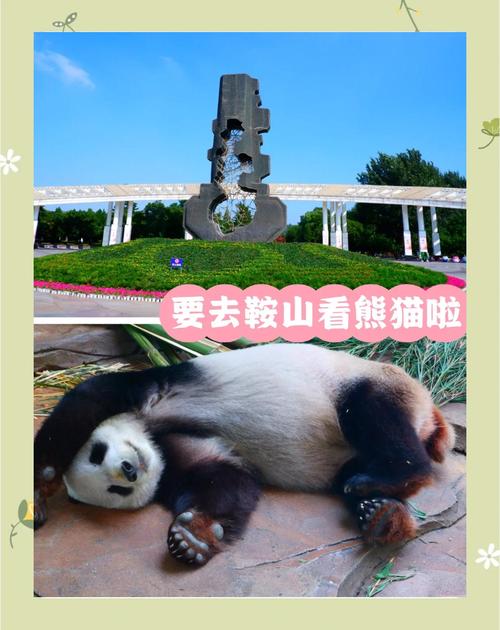 鞍钢疫情防控(鞍钢疫情最新消息)-第5张图片 鞍钢疫情防控(鞍钢疫情最新消息)-第5张图片