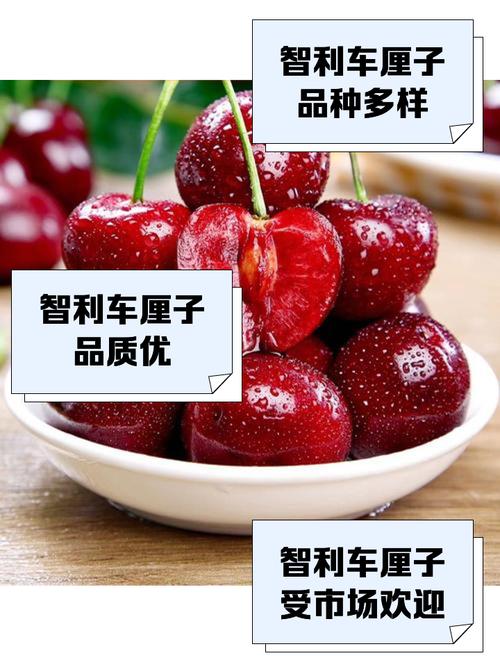 安全吗疫情,疫情安全码是在哪里都知道吗-第2张图片 安全吗疫情,疫情安全码是在哪里都知道吗-第2张图片
