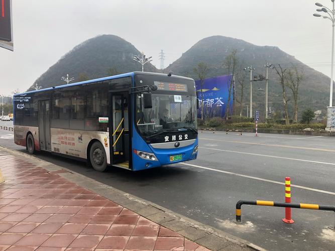 安顺疫情停业/最近安顺疫情怎样-第7张图片 安顺疫情停业/最近安顺疫情怎样-第7张图片