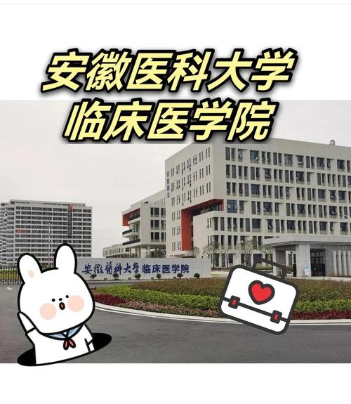 安医大与疫情/安医大与安医大临床医学院是一所学校吗-第5张图片 安医大与疫情/安医大与安医大临床医学院是一所学校吗-第5张图片