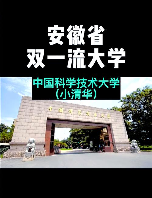 安医大与疫情/安医大与安医大临床医学院是一所学校吗-第6张图片 安医大与疫情/安医大与安医大临床医学院是一所学校吗-第6张图片