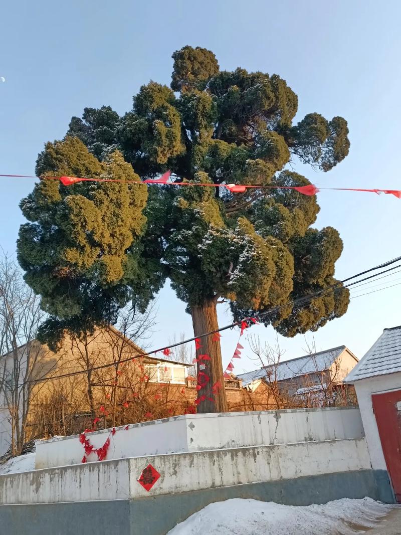 安丘疫情通报(安丘疫情最新消息2020)-第5张图片 安丘疫情通报(安丘疫情最新消息2020)-第5张图片
