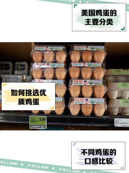 奥斯汀疫情,奥斯汀市安全吗-第3张图片 奥斯汀疫情,奥斯汀市安全吗-第3张图片