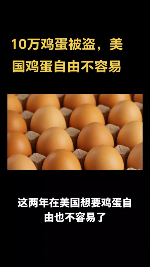 奥斯汀疫情,奥斯汀市安全吗-第6张图片 奥斯汀疫情,奥斯汀市安全吗-第6张图片
