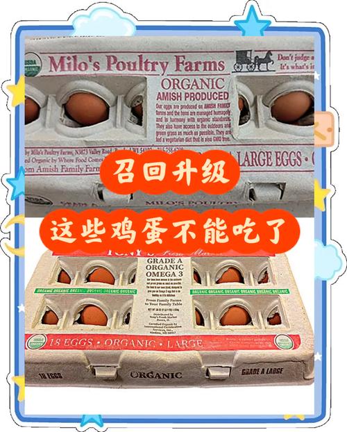奥斯汀疫情,奥斯汀市安全吗-第8张图片 奥斯汀疫情,奥斯汀市安全吗-第8张图片