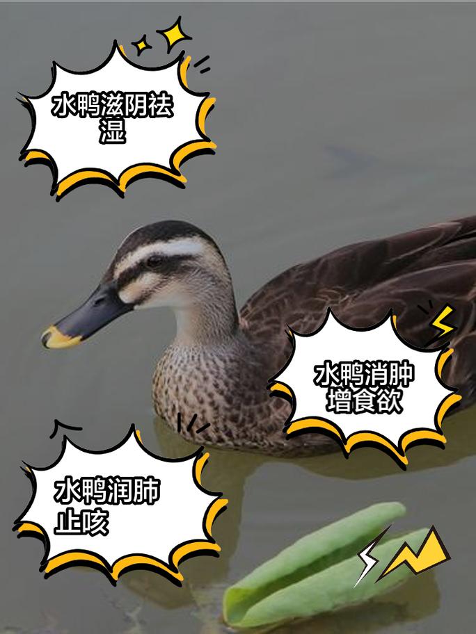 安庆周边疫情,安庆疫情最新消息分布地区-第6张图片 安庆周边疫情,安庆疫情最新消息分布地区-第6张图片