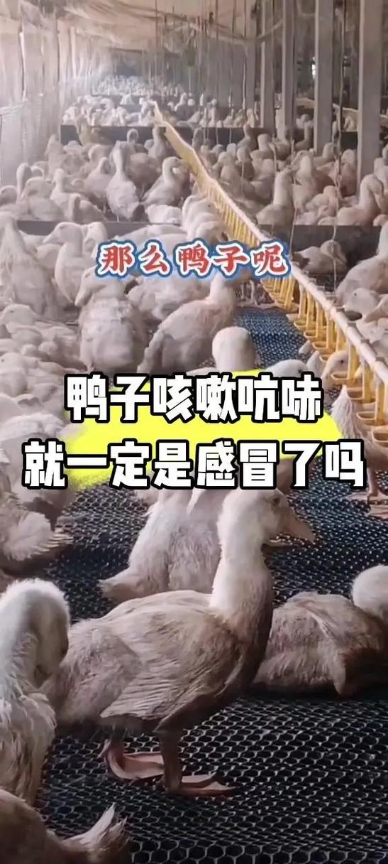 安庆发布疫情-安庆的疫情动态-第6张图片 安庆发布疫情-安庆的疫情动态-第6张图片